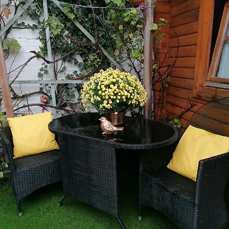 Bed and breakfast Art Galerie 3*