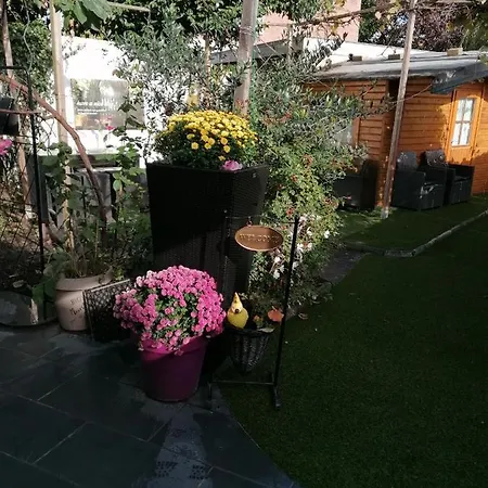 Art Galerie Bed and breakfast