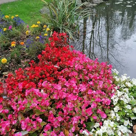 Art Galerie 3* Eygelshoven