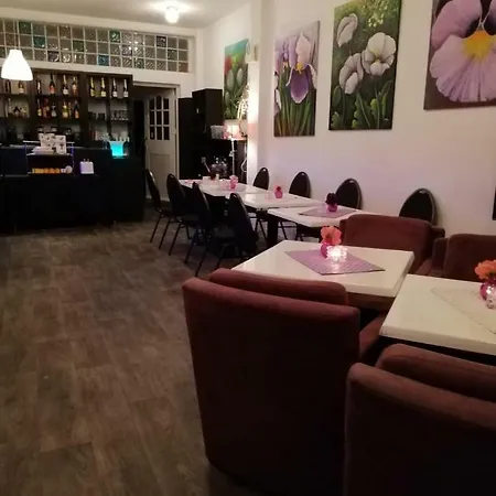 Bed and breakfast Art Galerie