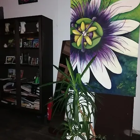 Bed and breakfast Art Galerie